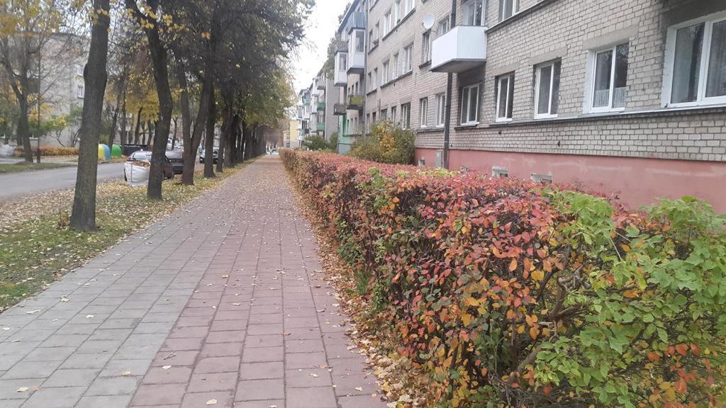 Šiauliai Apartment For You מראה חיצוני תמונה